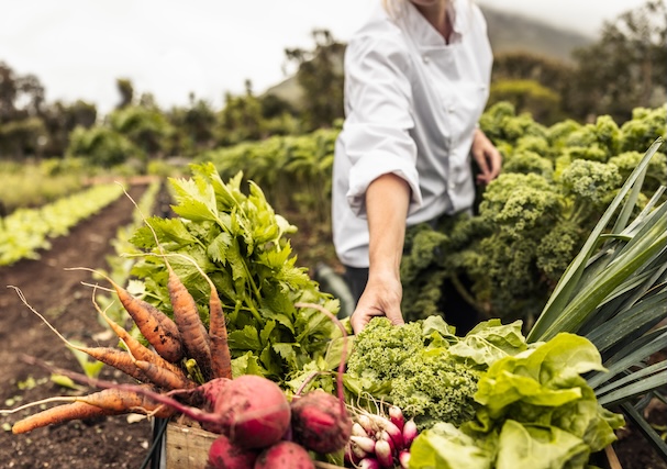 spring break harvest school leadership